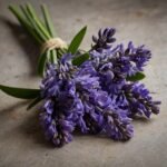 bouquet de lavande